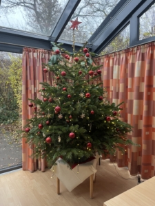 Weihnachten 2025 (Foto: AWO Weisenau)